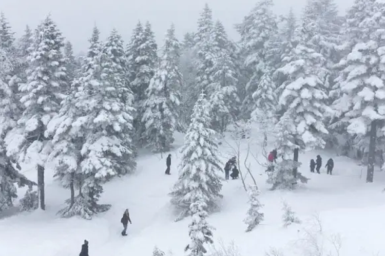 เภสัชกรหนุ่มนั่งกระเช้าลอยฟ้าสองชั้นแห่งแรกในญี่ปุ่นไปภูเขาหิมะ